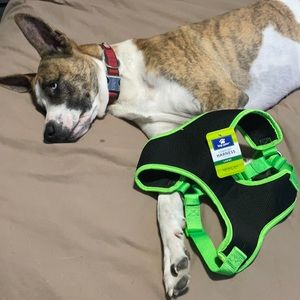 NWT Top Paw Comfort Harness